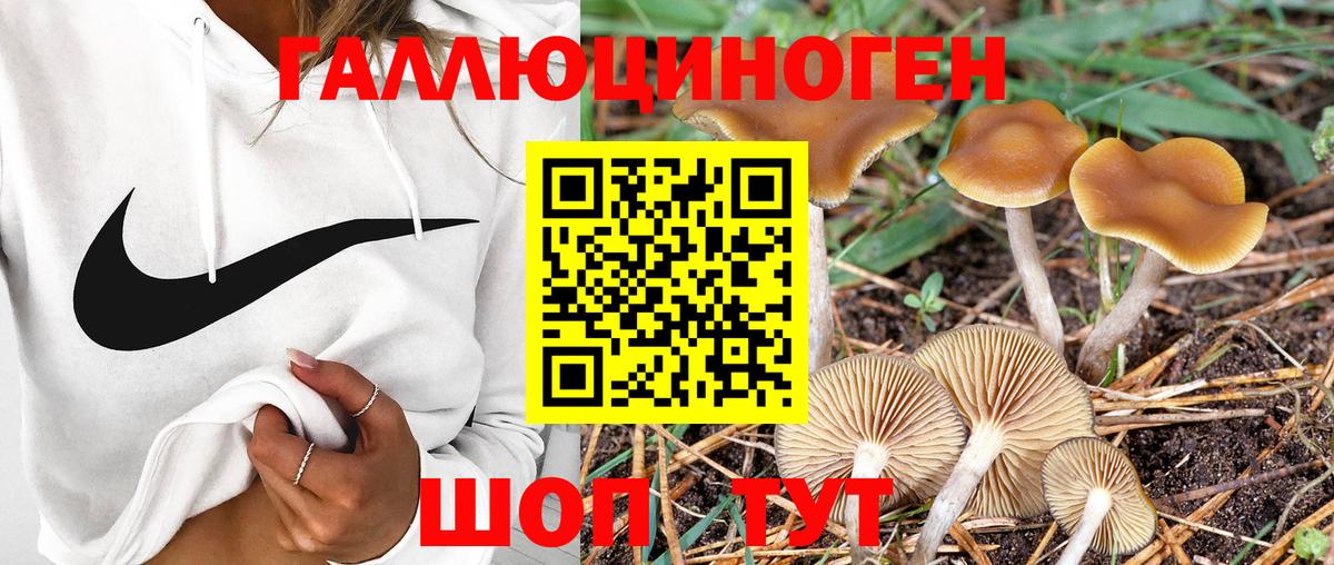 Псилоцибиновые грибы мухоморы  Вход с VPN  Псилоцибиновые грибы мицелий  Рославль 