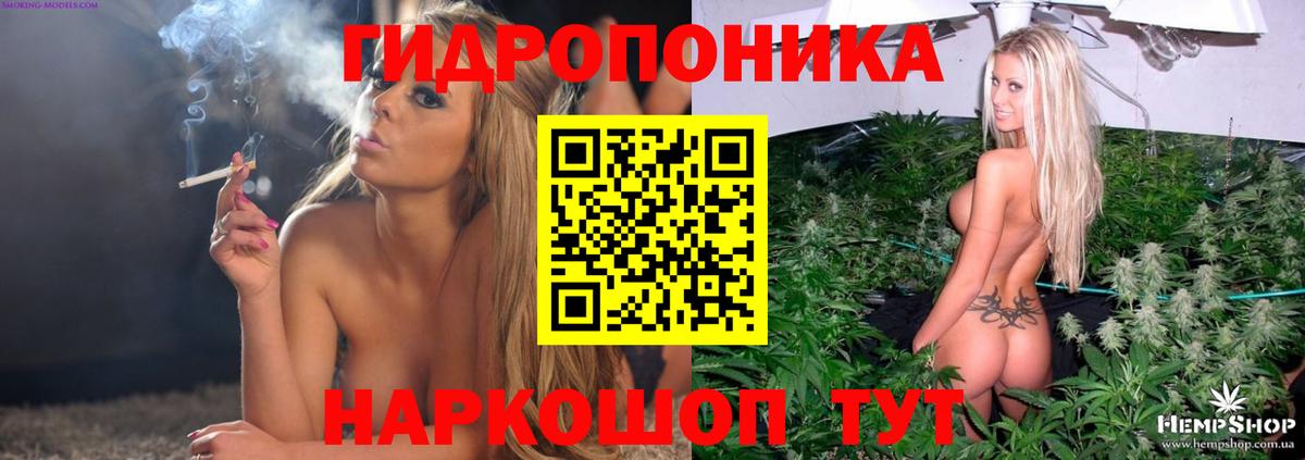 Каннабис марихуана Рославль